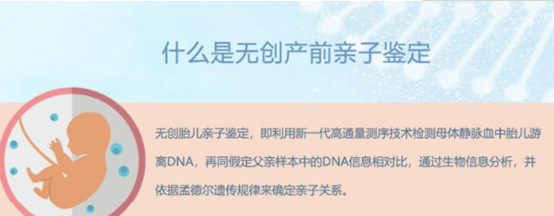 三亚怀孕了如何办理血缘检测,三亚胎儿做亲子鉴定办理的条件