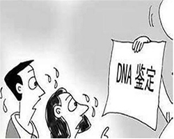 三亚户籍DNA鉴定需要如何做